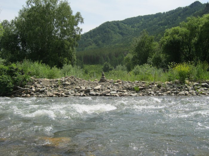 Чарыш река рыбалка