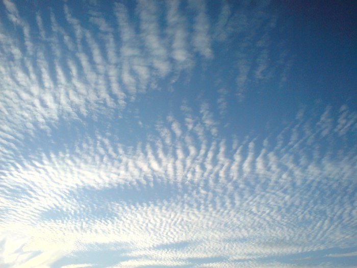 Cirrus uncinus