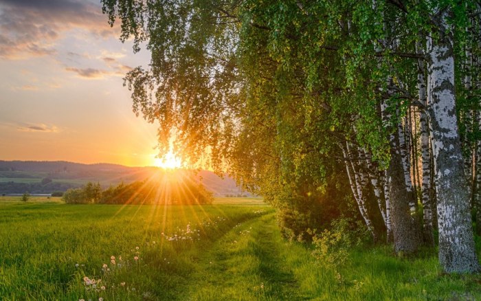 Природа солнце