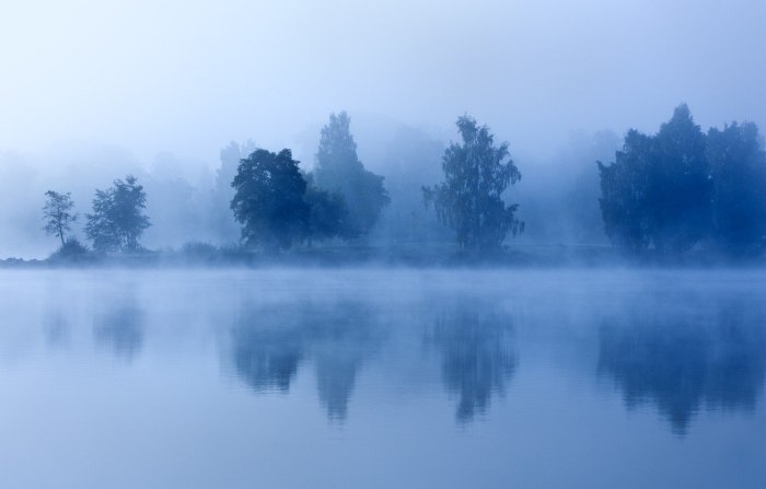 Лес туман река