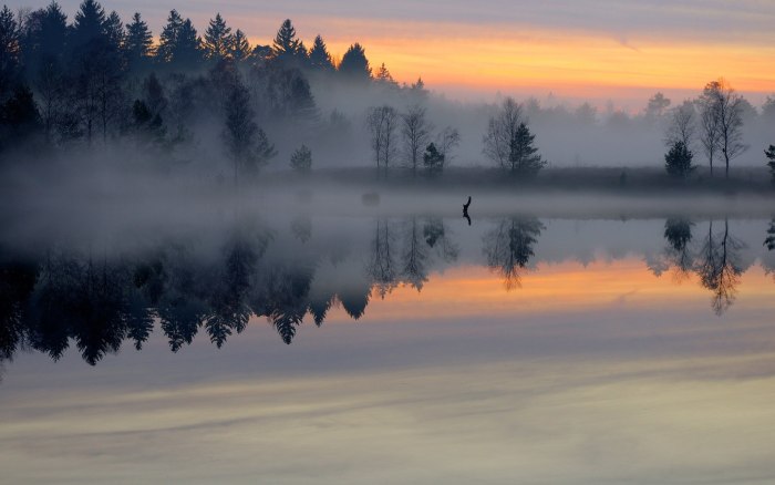 Каменев туман