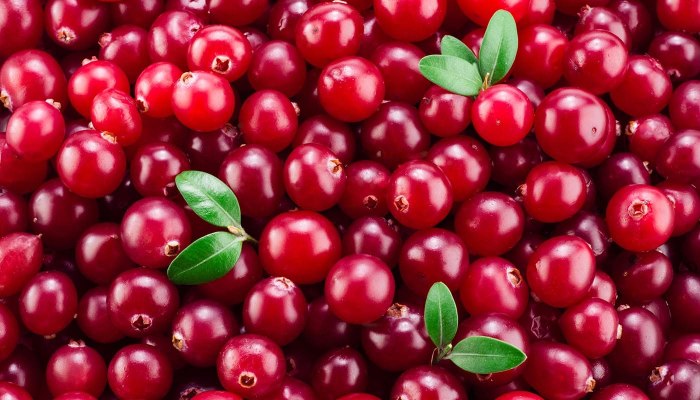 Cowberry брусника