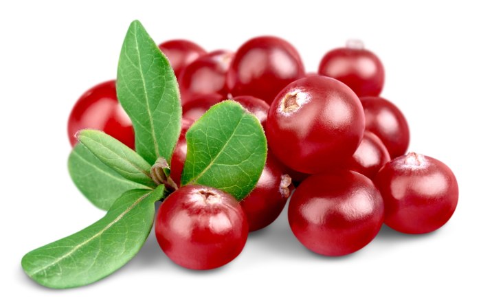 Cowberry брусника