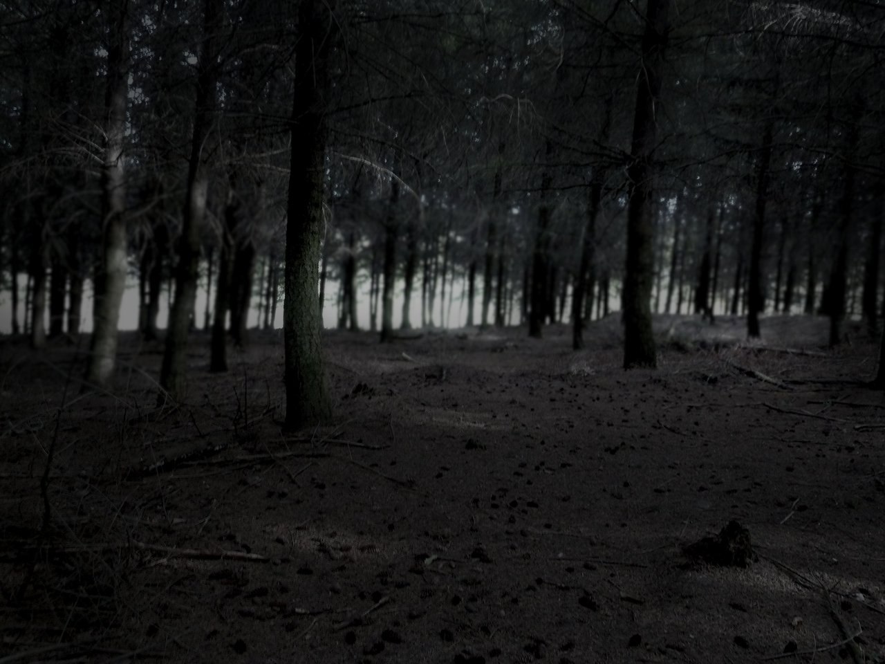 Печальные поляны. Темный лес Слендермен. «Ночь в лесу». Мрачная Поляна в лесу. Темная Поляна.