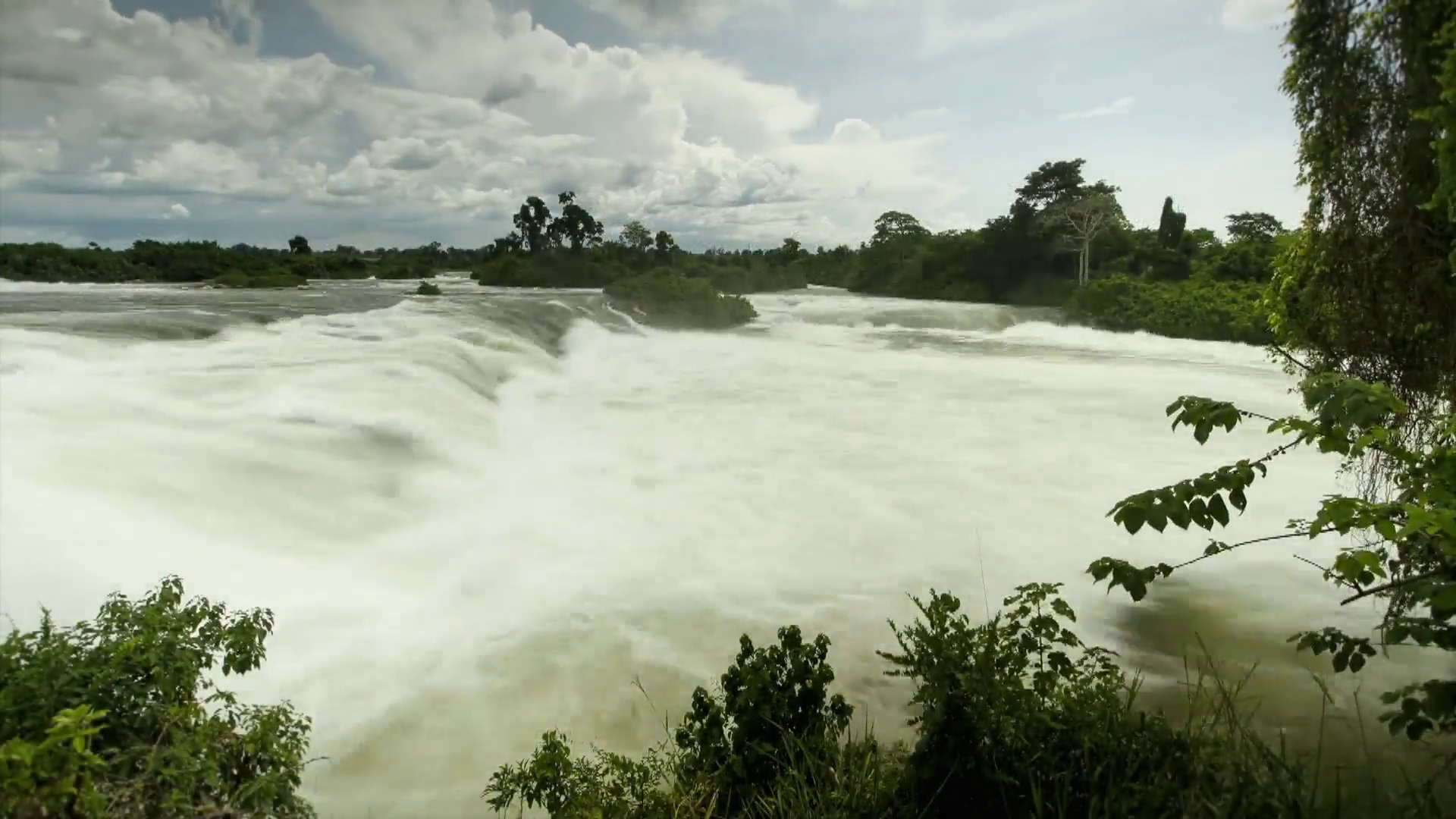 Почему река конго. Река Конго. Река Луалаба. Эстуарий реки Конго. Долина реки Конго.