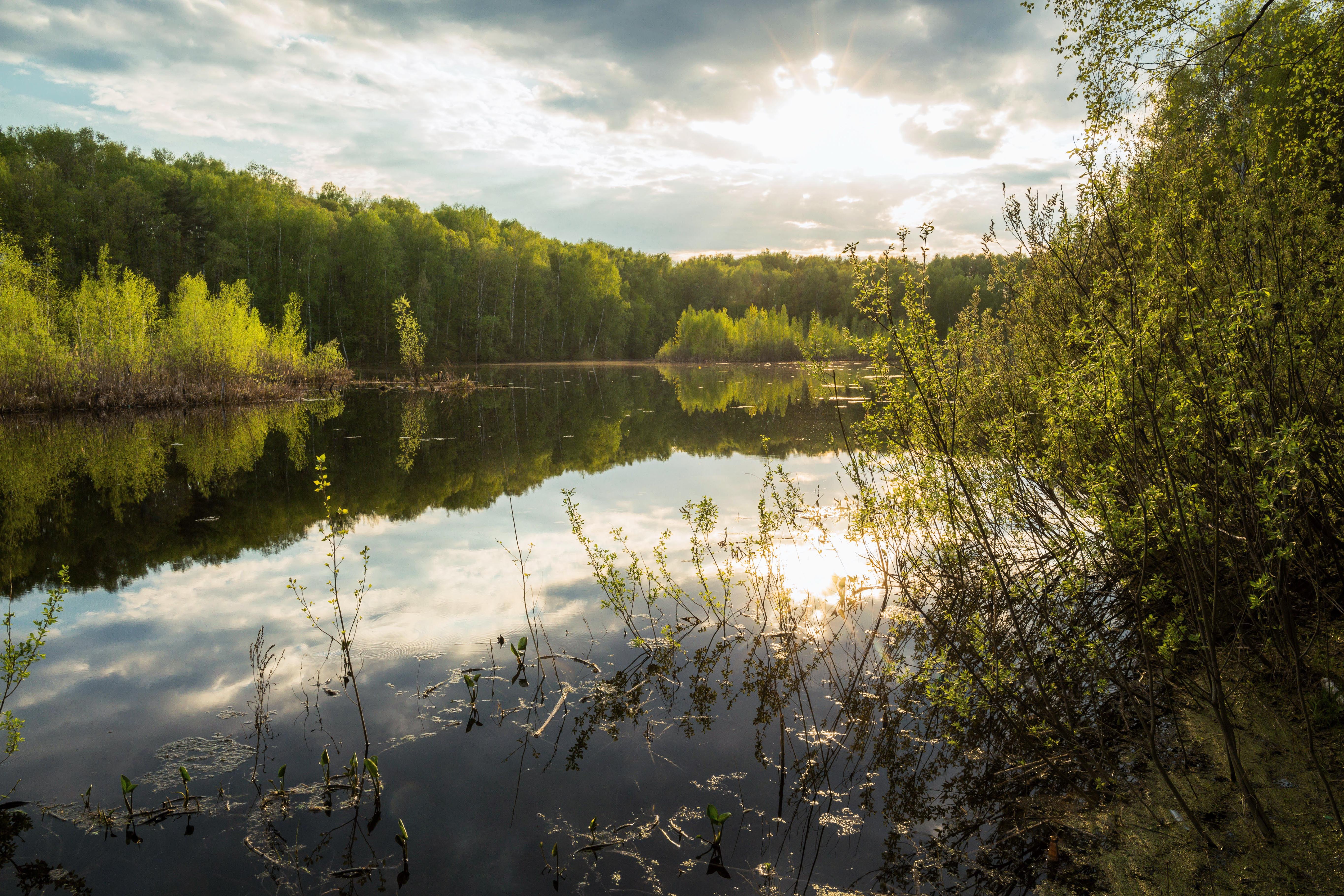 Озеро тезис. Светлое (озеро, Чувашия). Озеро светлое Воскресенск. Озеро светлое ХМАО. Светлое озеро Татарстан.