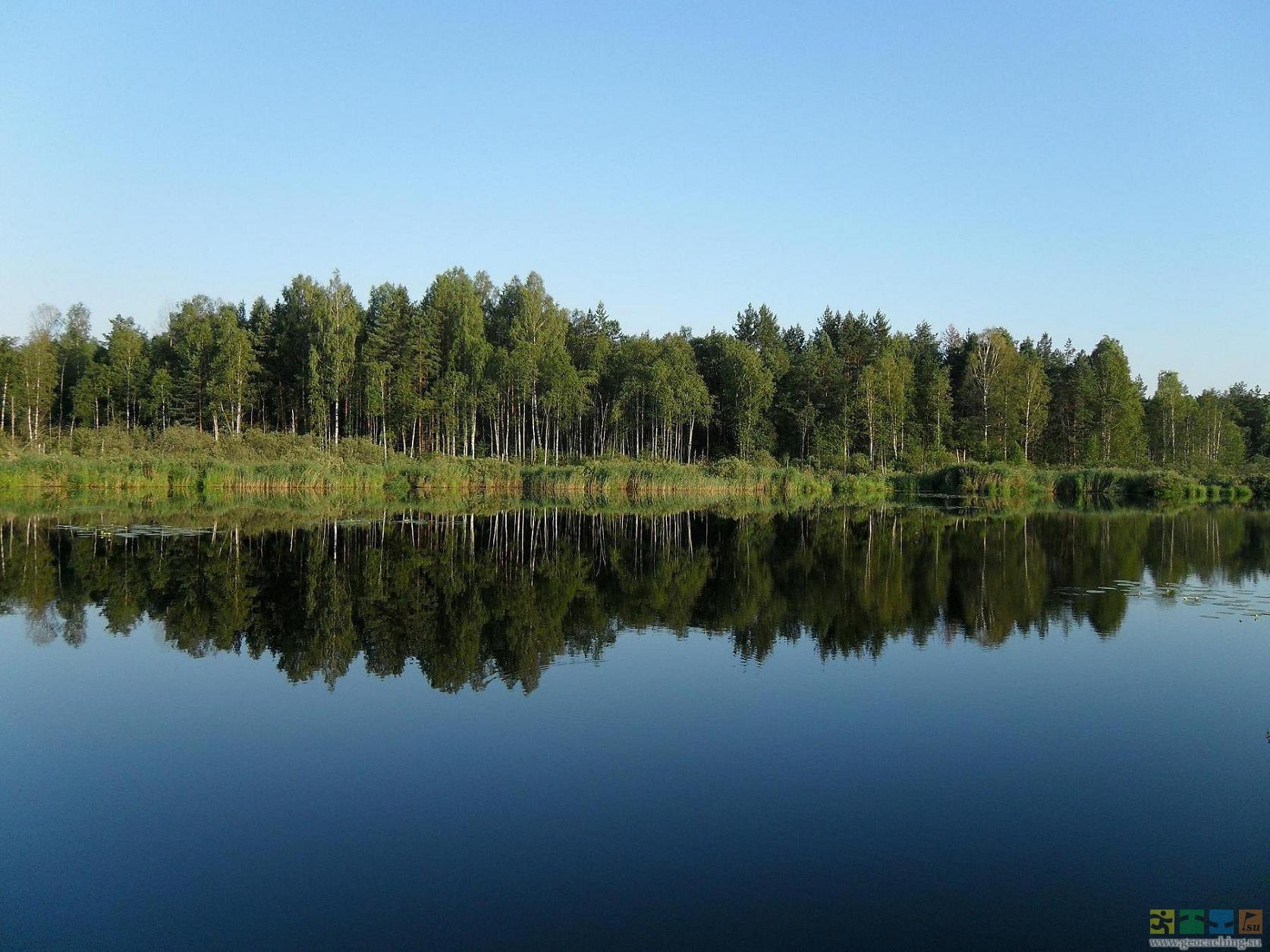 Центр озера. Орловское Полесье озеро озеро. Орловское озеро Кировская область. Озеро центральное в Орловском Полесье. Озеро обмеж в Орловском Полесье.