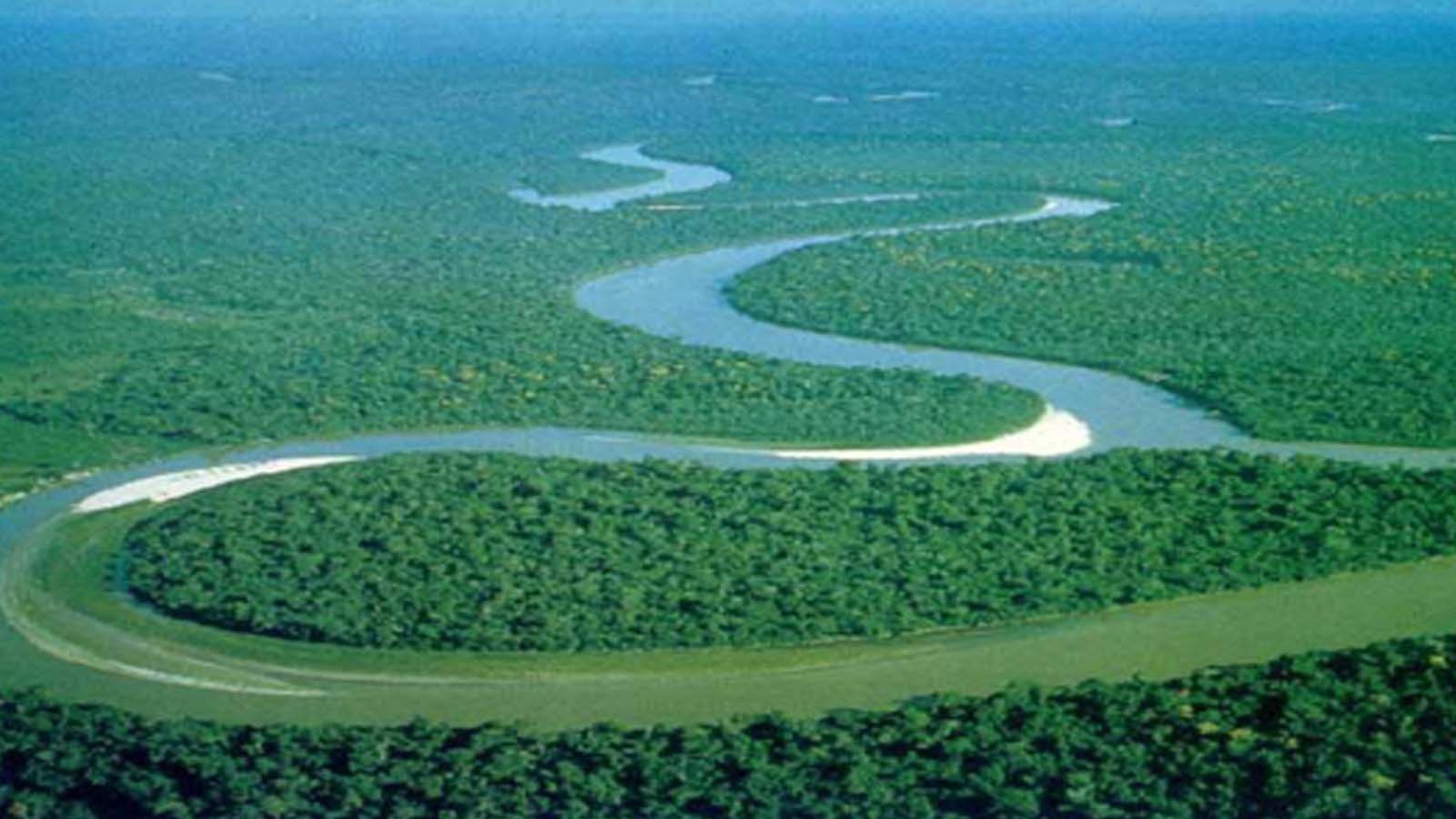 The longest river in great. Амазонская низменность Бразилия. Южная Америка Амазонская равнина. Самая полноводная река Африки. Амазонская низменность в Африке.