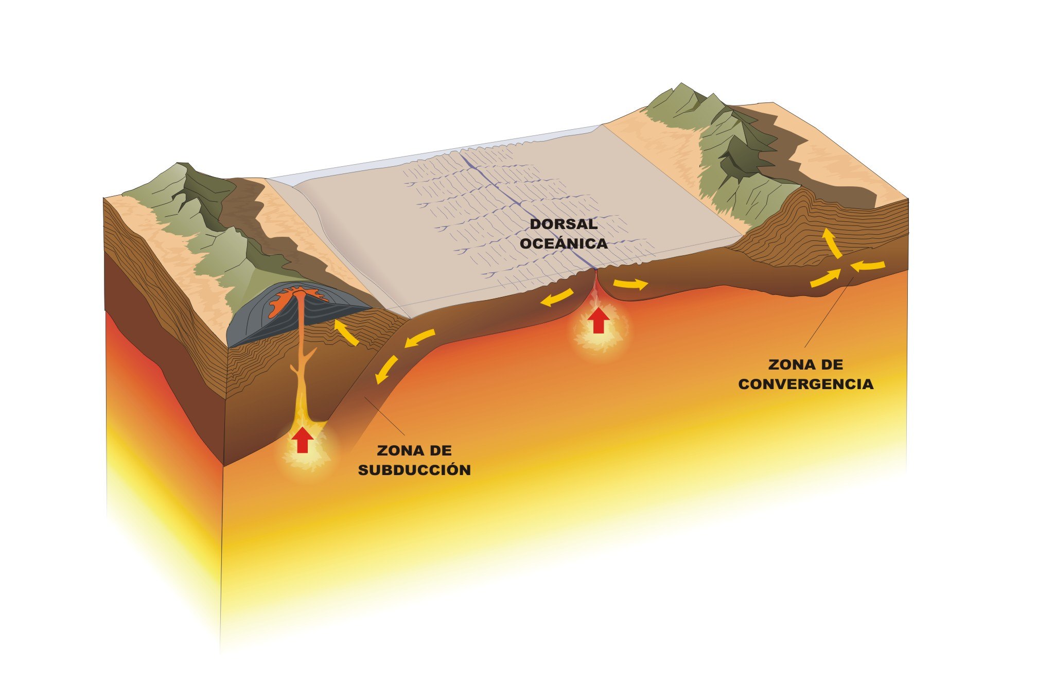 Движение литосферных плит землетрясения. Схема движения литосферных плит. Континентальные плиты земной коры. Движение тектонических плит. Континентальная плита строение.
