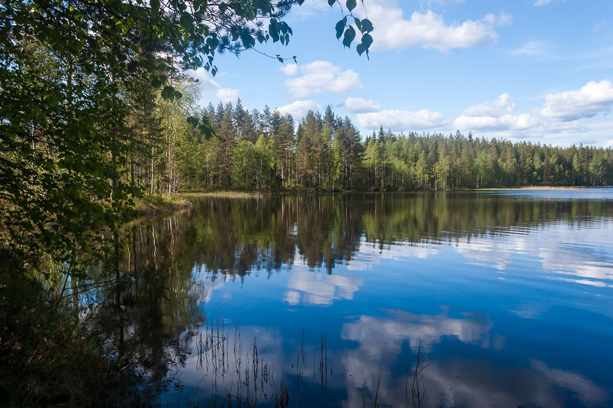 Озера карелии фото