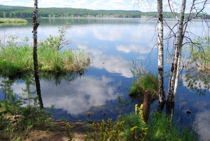 Река Исеть Химмаш