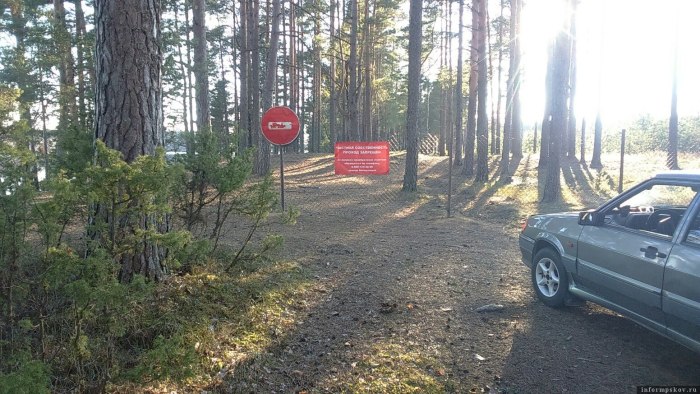 Озеро Велино Гдовский район