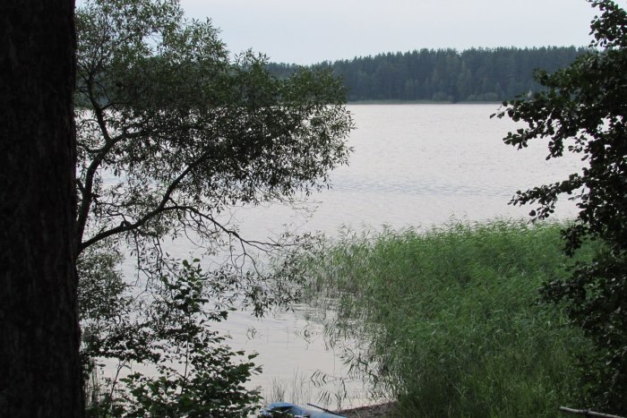 Рыболовство Псковской области