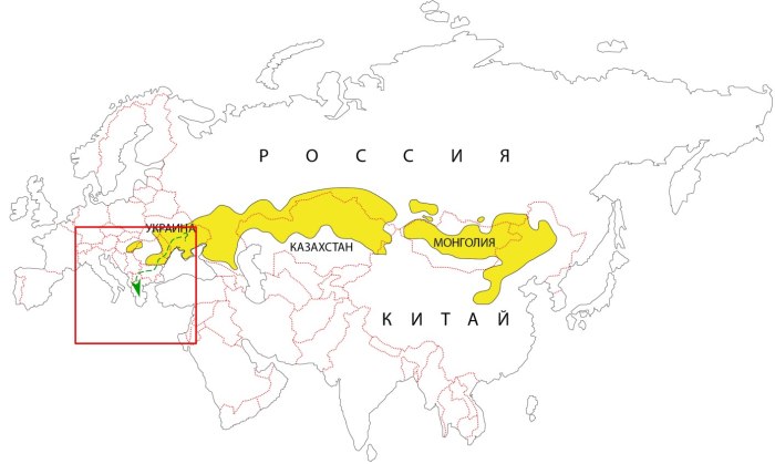 Луганский заповедник Трехизбенская степь