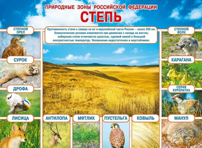 Фёдор Лашков ковыль степь