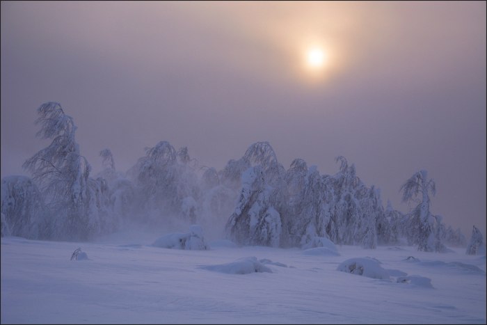 Буран вьюга