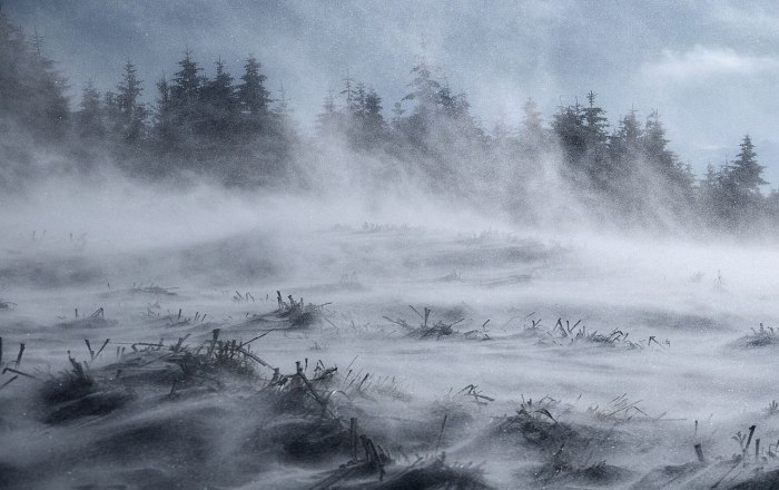 Суровая зима