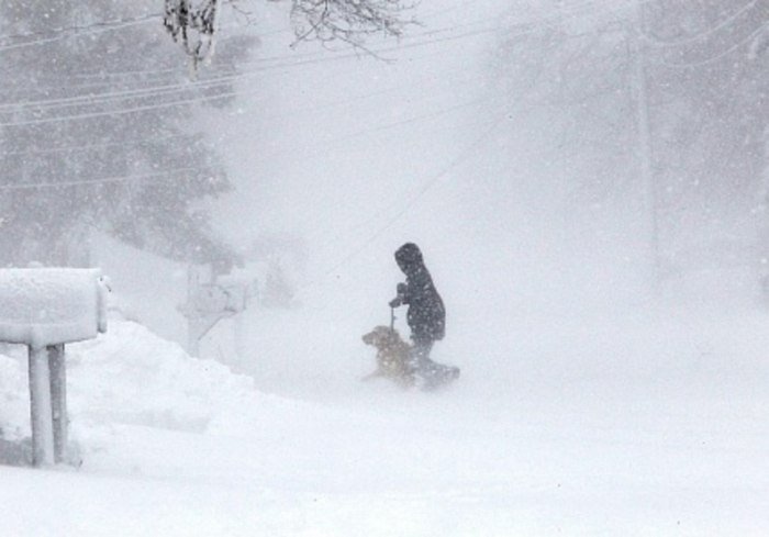 Зима метель