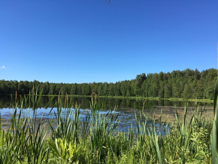 Село красная Балтия Кузоватовского района