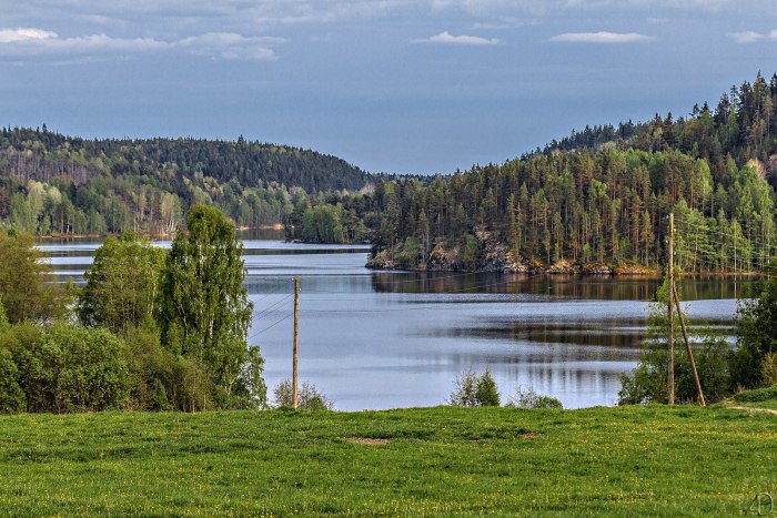 Озеро Янисъярви Карелия