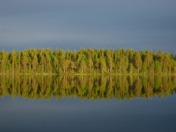 Клуб на озере Янисъярви