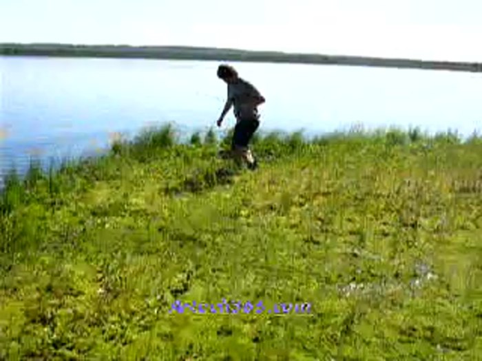 Чёрное озеро криминал