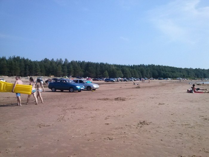 Девушка в болоте