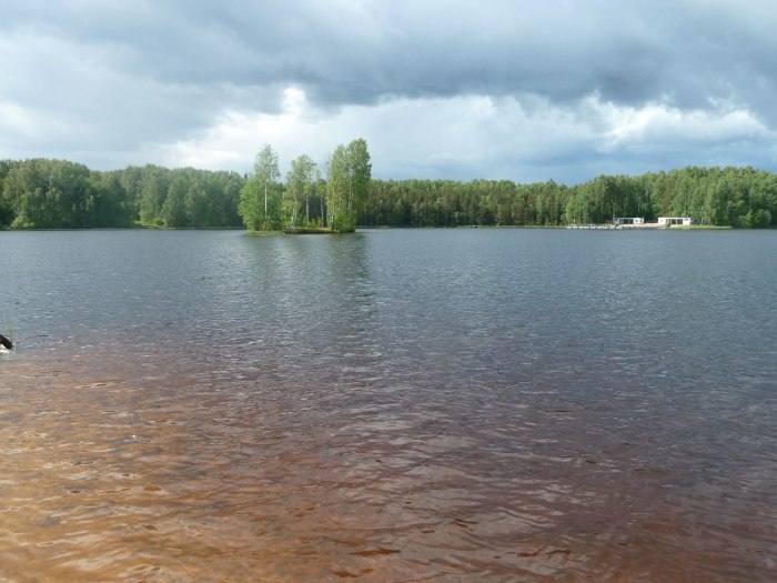 Парк Осиновая роща Санкт-Петербург озеро