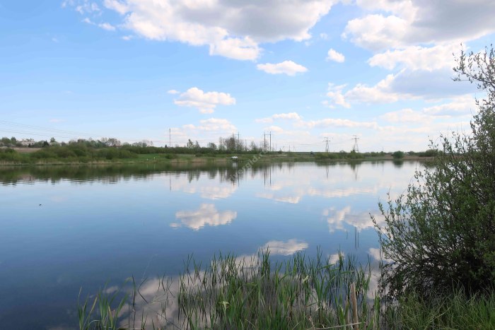 Озеро Домашковское в Белоруссии