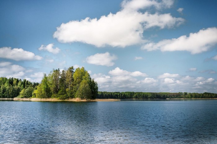 Алё (озеро, Бежаницкий район)