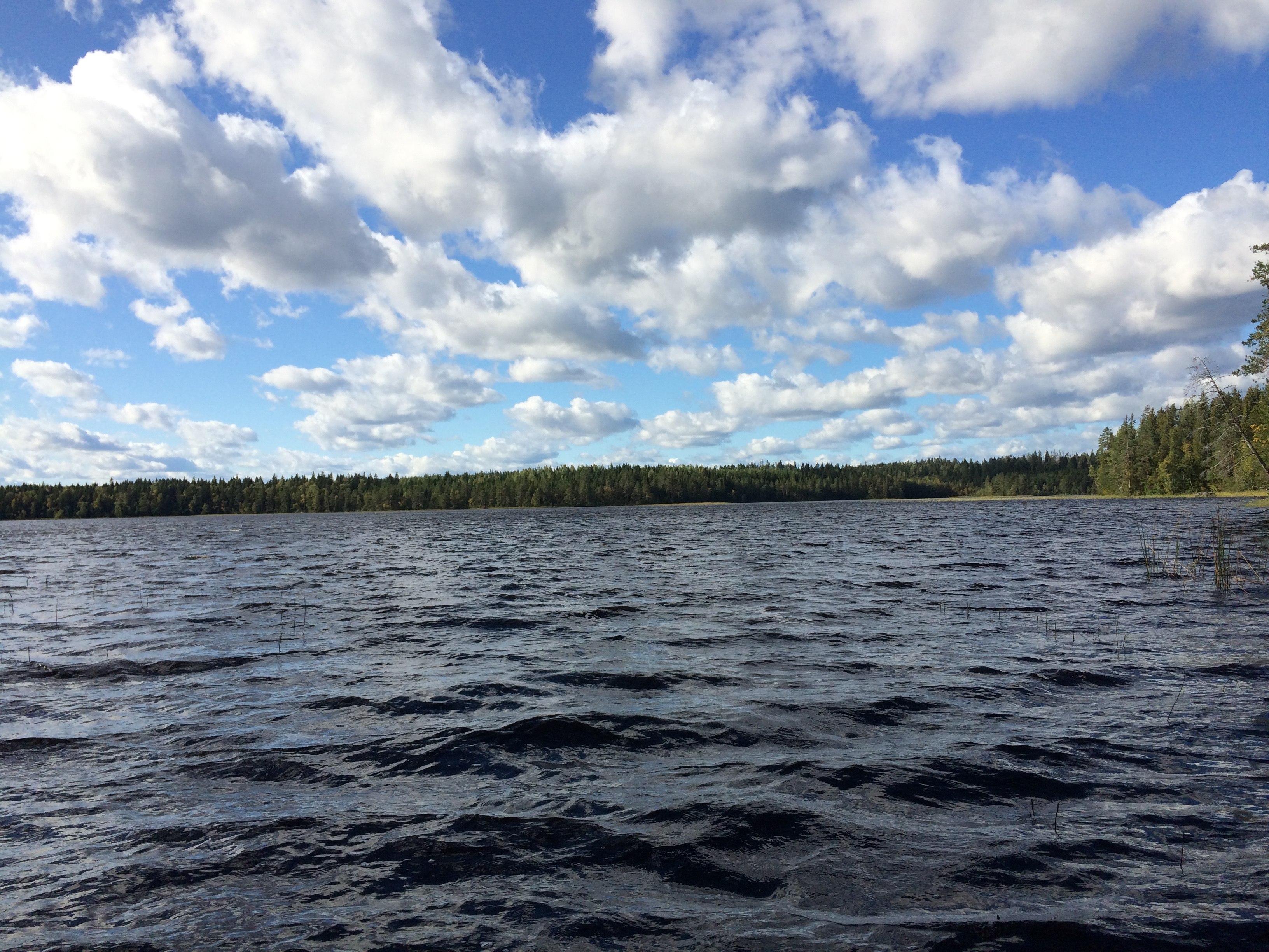 Lake 1. Озеро Костамоярви. Озеро Мустаярви. Костамоярви Лахденпохский район. Озеро Воякоярви.