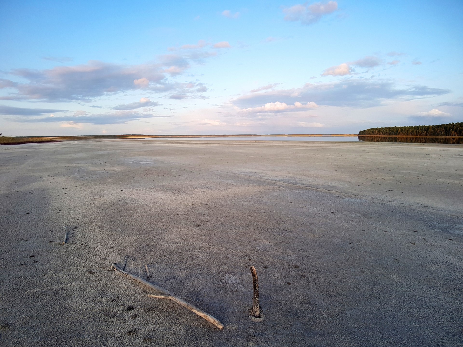 Мертвое озеро курганская область. Озеро Медвежье Курганская область. Солёное озеро в Курганской области. Санаторий озеро Медвежье Курганская область. Озеро Медвежье – Зауральское мёртвое море.