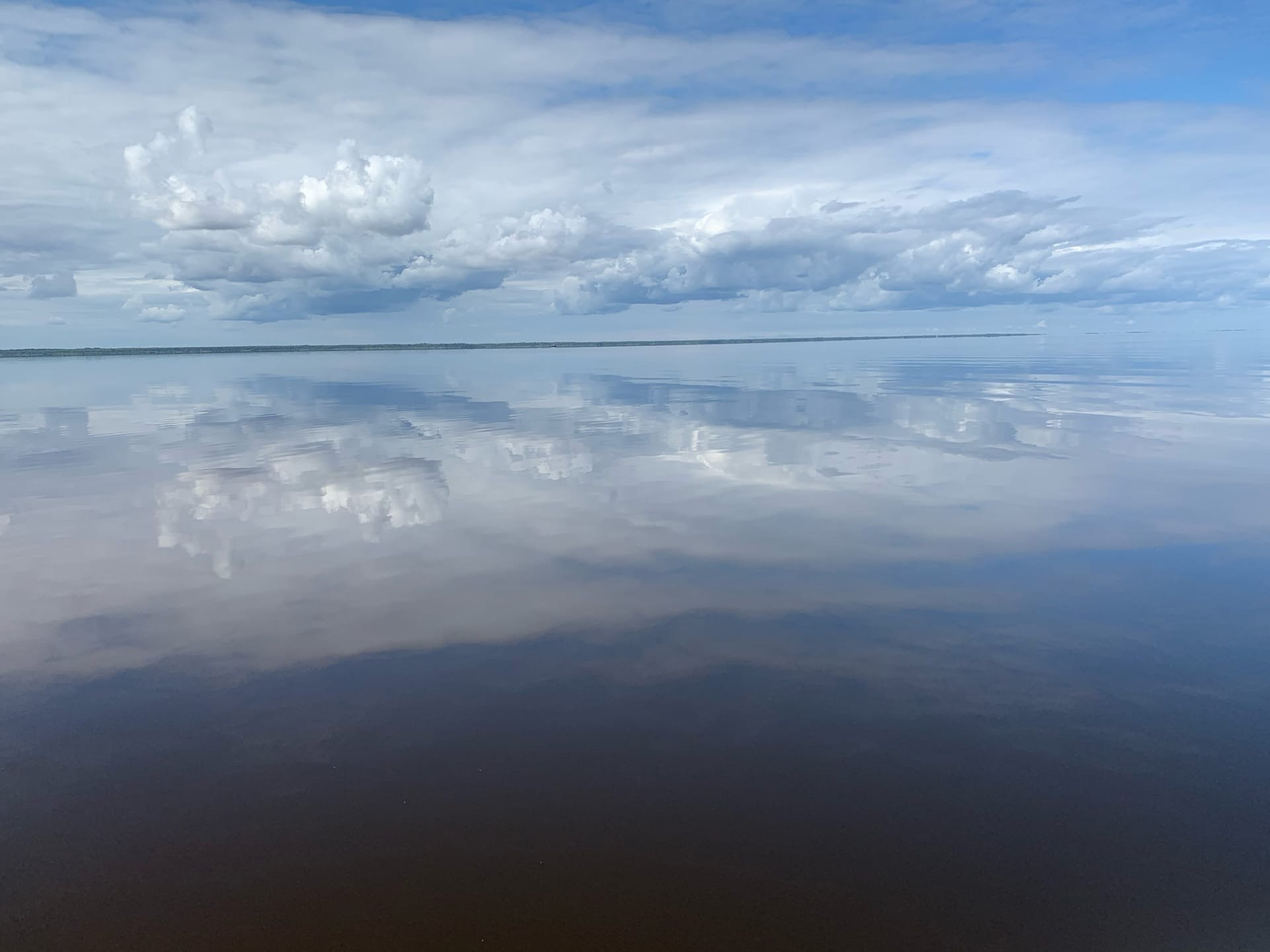 Погода озеро медвежье курганская область на месяц. Озеро Медвежье Курганская область. Озеро Медвежье Курганская область фото. Озеро горькое Новосибирская область. Озеро Половинное Екатеринбург.