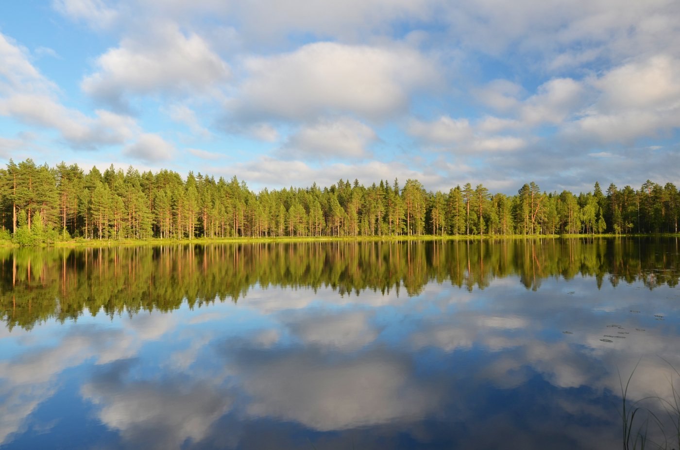 Озеро здесь шире. Озеро Северное Черноголовка. Симагинское озеро. Большое Симагинское озеро Ленинградская область. Озеро красавица Зеленогорск.