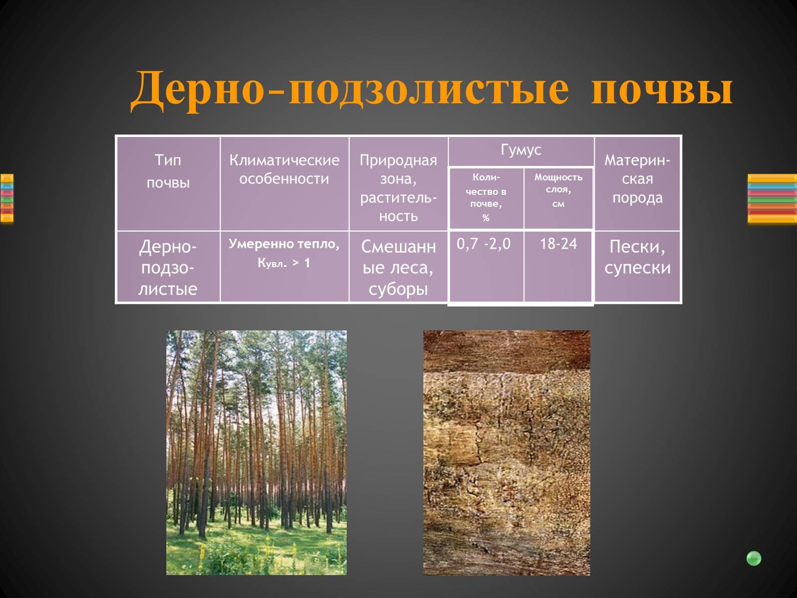 Почвы зоны смешанных лесов в россии. Подзолистые почвы. Подзолистый Тип почвы. Подзолистые почвы природная зона. Серые Лесные почвы.