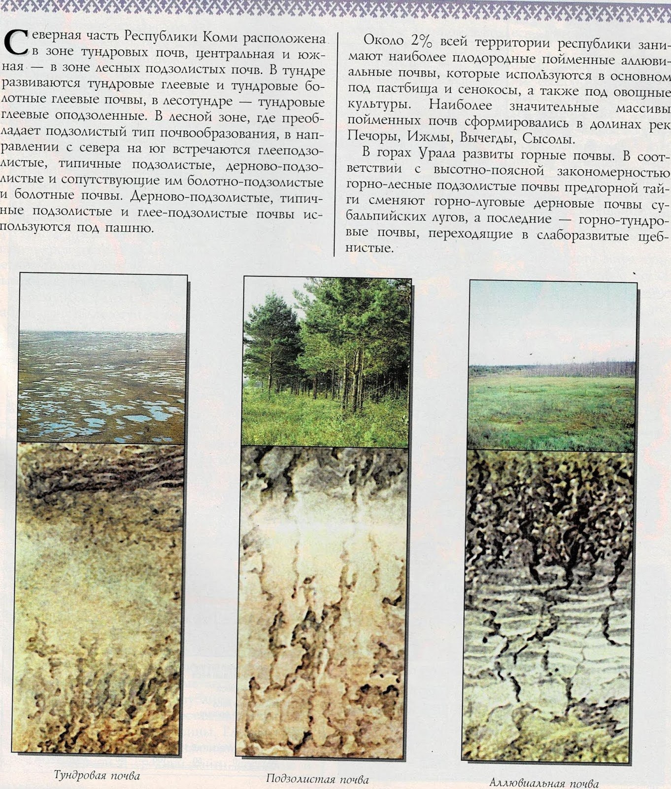 Как используется подзолистая почва. Подзолистые почвы схема. Какие почвы в Республике Коми. Болотно-подзолистые почвы. Дерново-подзолистые почвы профиль.
