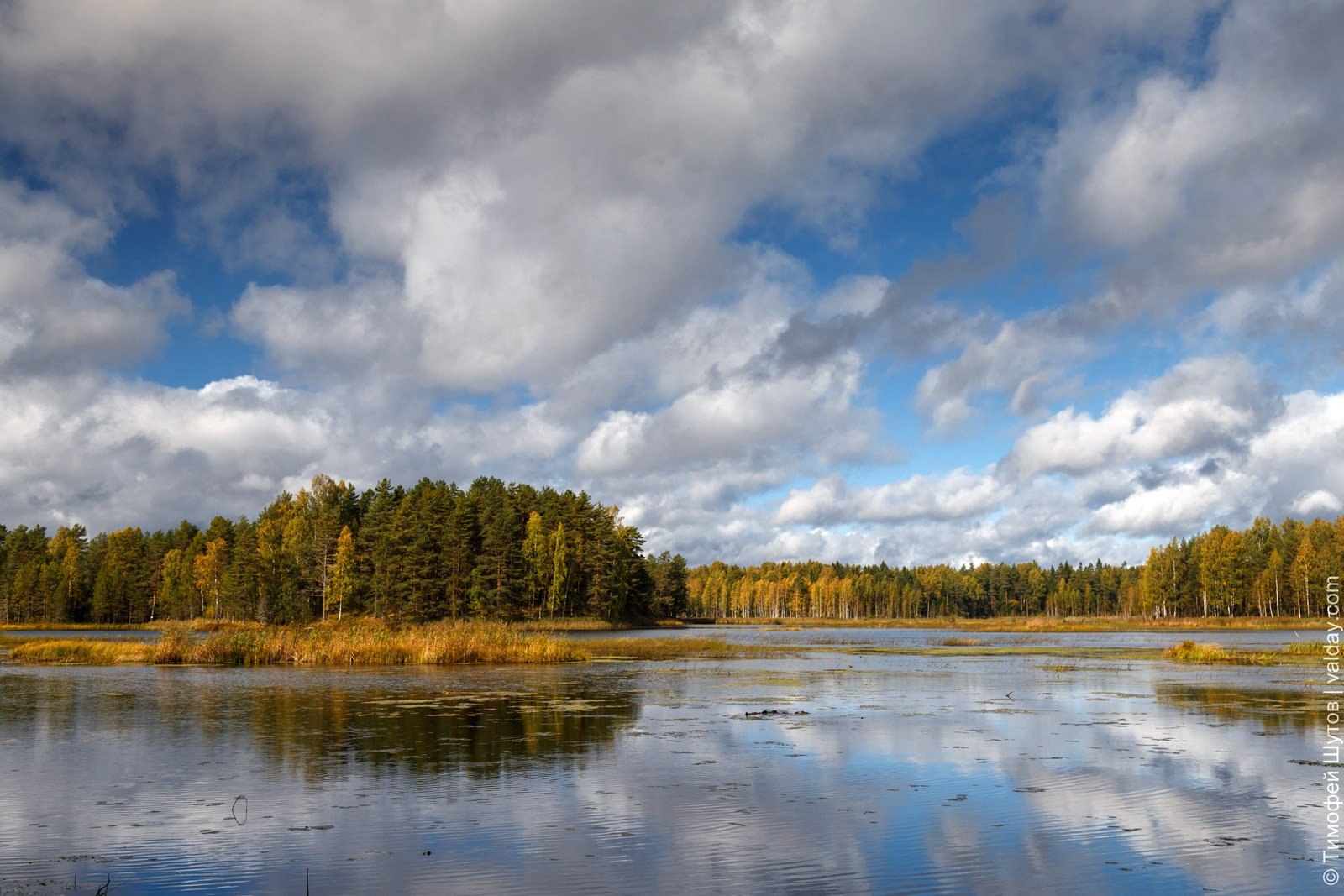 Озеро велье новгородская