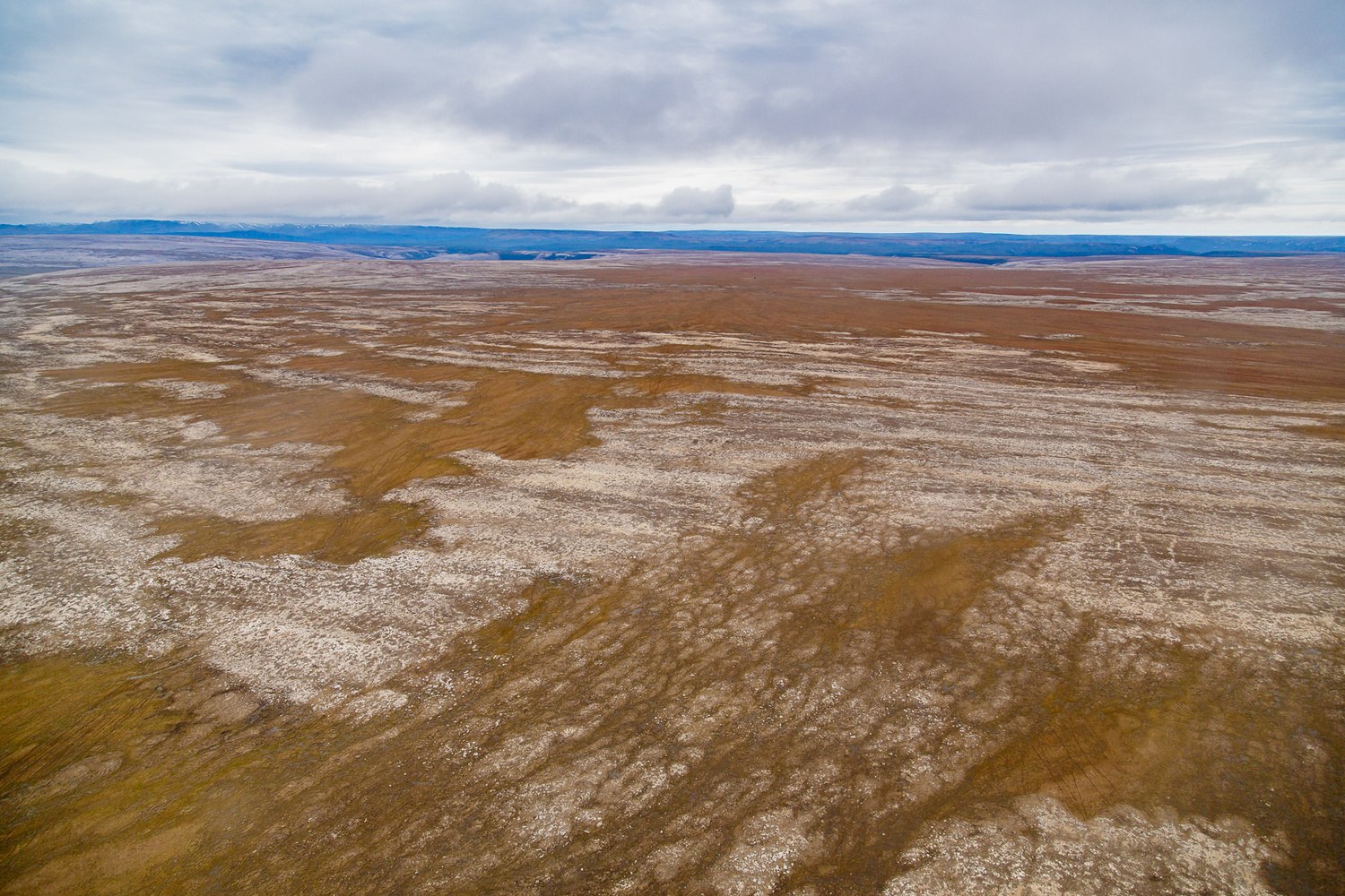 Горная система на полуострове таймыр. Таймыр и Карское море. Карское море и тундра. Полуостров Таймыр. Полуостров Таймыр побережье.