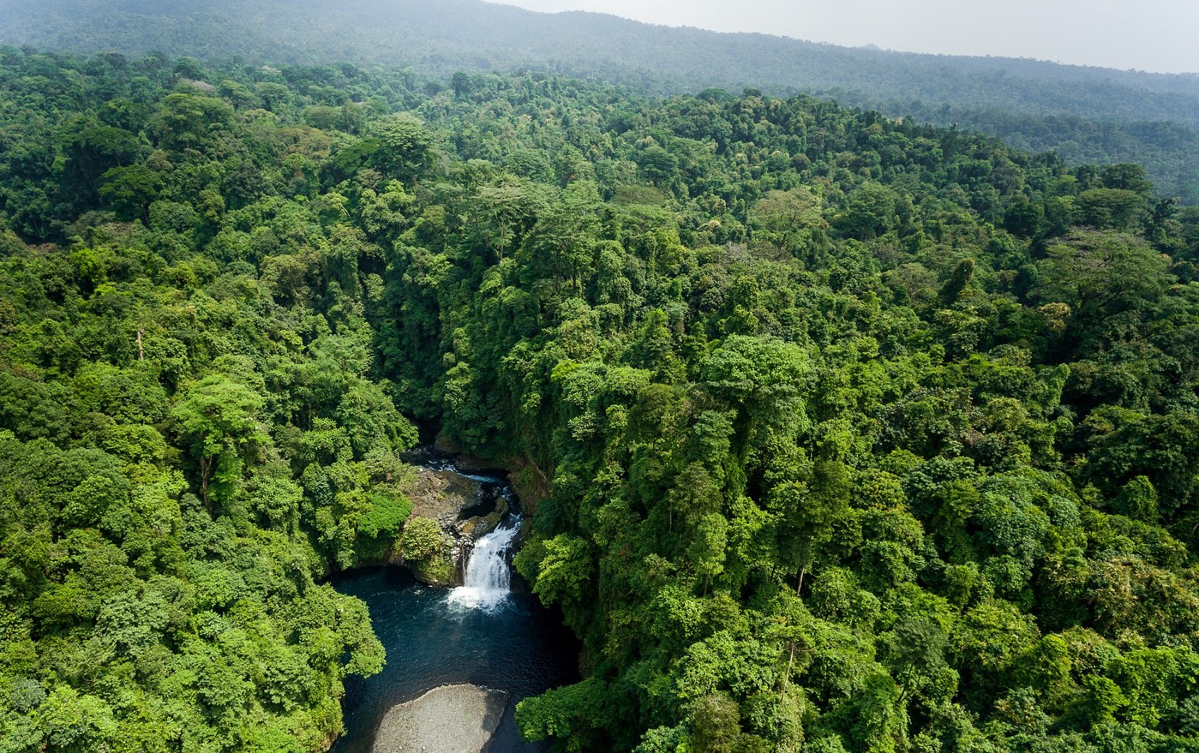 Влажные экваториальные леса климатические условия. Экваториальная Гвинея природа. Леса экваториальной Гвинеи. Экваториальная Гвинея экваториальный лес. Экваториальная Гвинея Африка.