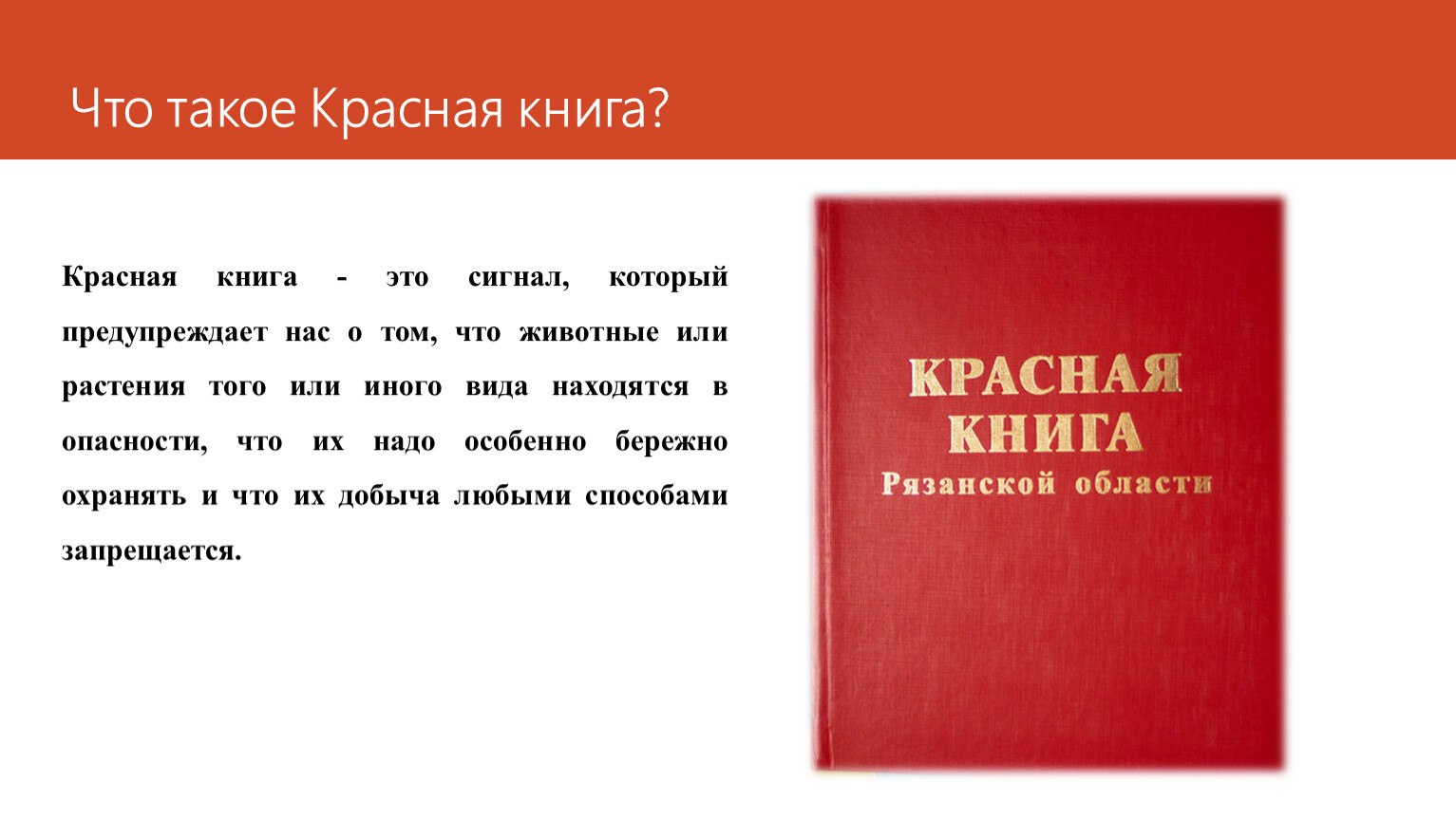 Красная книга что это. Красная книга Рязанской области книга. Я И красная книга. Проект красная книга Рязанской области. Красная книга Рязанской области книга животные.