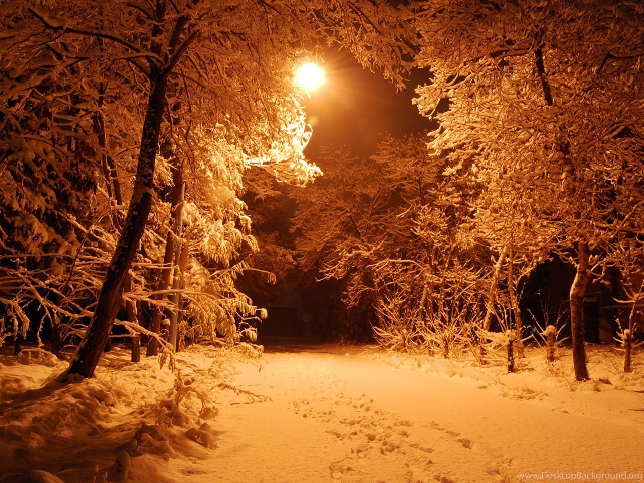 Красивая зима ночь. Зима ночь. Зима. К вечеру. Ночной зимний лес. Зимний лес вечером.