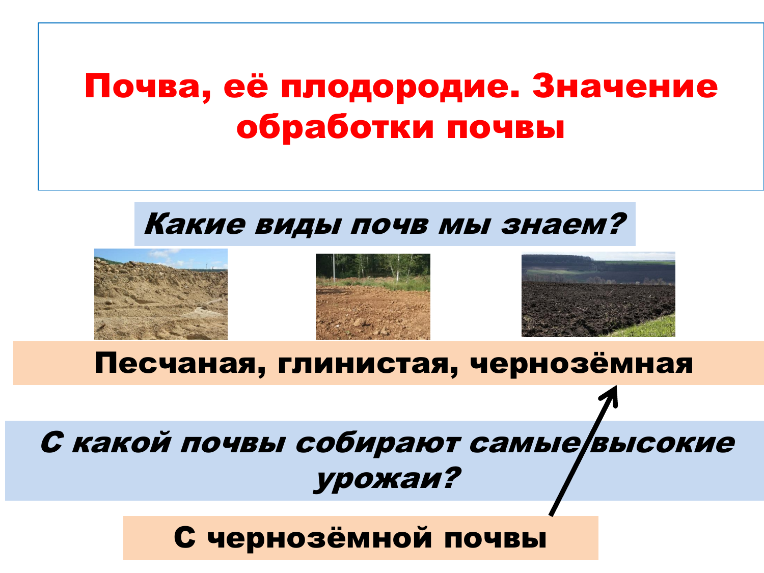 Почва и ее плодородие. Разновидности почв. Почва и ее значение. Тип грунта.