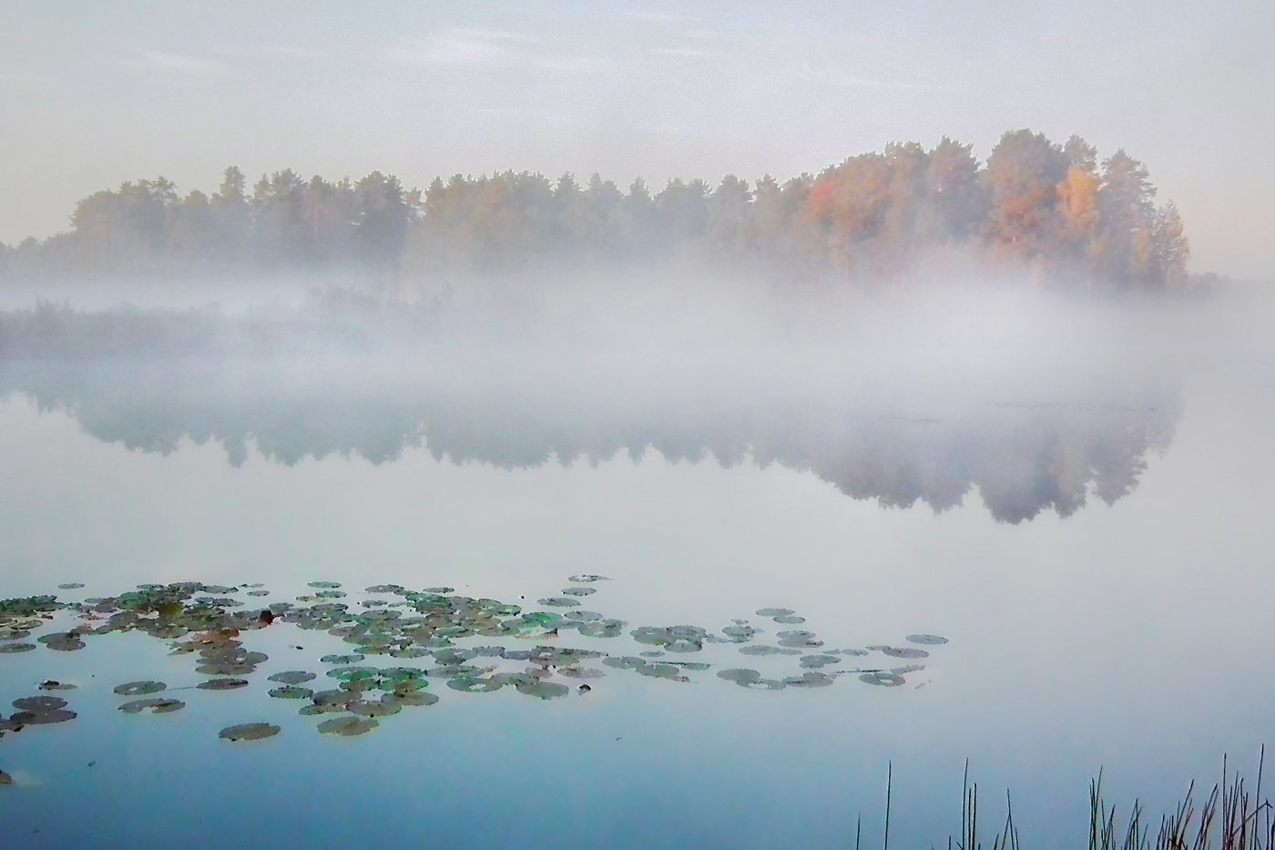 Озеро данилова омская область. Озеро Данилово Новосибирская. Озера в Новосибирской области пять озер. Озеро Данилово Новосибирская область Кыштовский район. Муромцево озеро Линево.