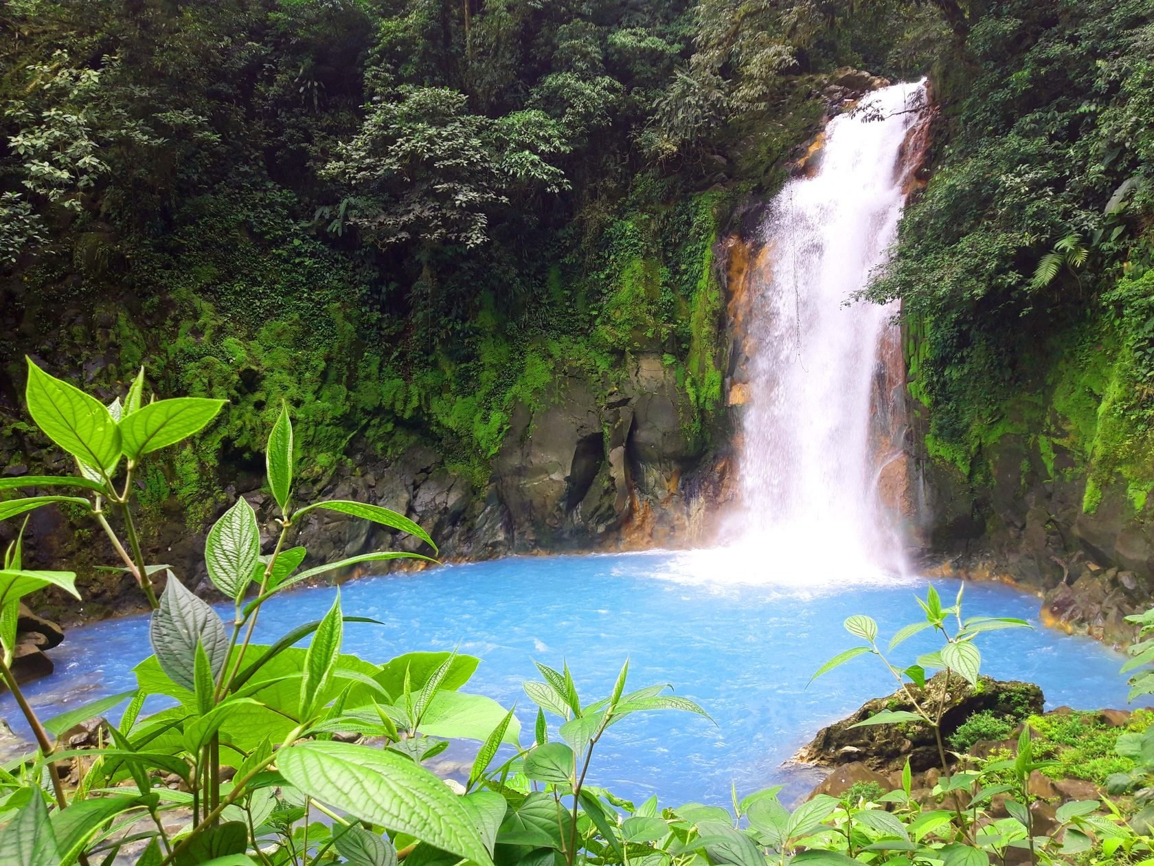 Natural costa rica. Водопады Рио Селесте Коста Рика. Национальные парки Коста Рики. Национальный парк Монтеверде (Коста-Рика). Коста Рика заповедники.