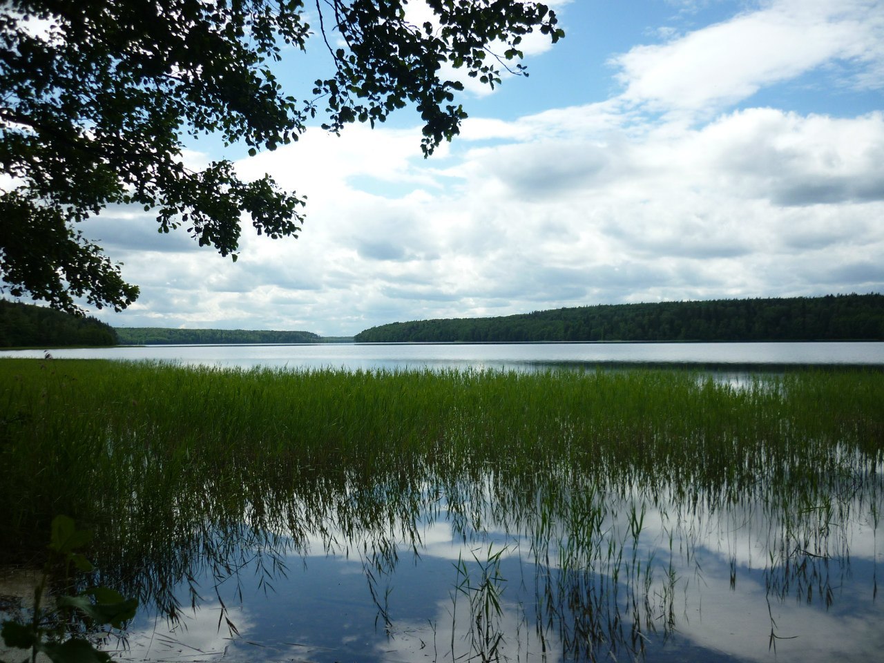 Озеро глубокое московская. Озеро глубокое Новосибирск. Озеро Нельша Ивановская область. Озеро глубокое Московская область. Озеро глубокое Ленинградская.