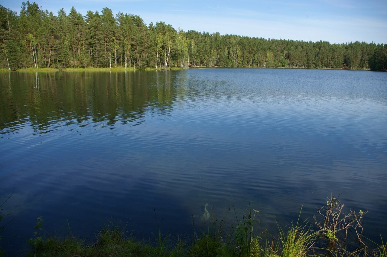 Озеро глубокое рыба. Озеро глубокое Рузский район. Глубокое (озеро, Карельский перешеек). Озеро Лебяжье Петяярви. Озеро Лесное Петяярви.