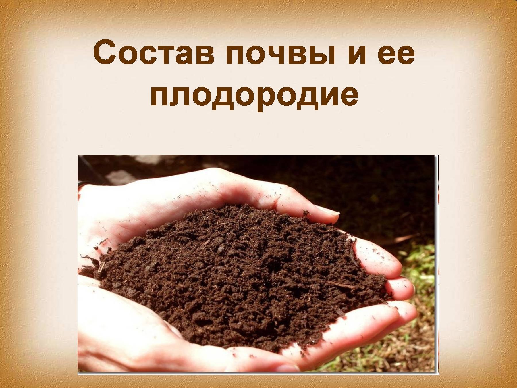 Почва состав почвы