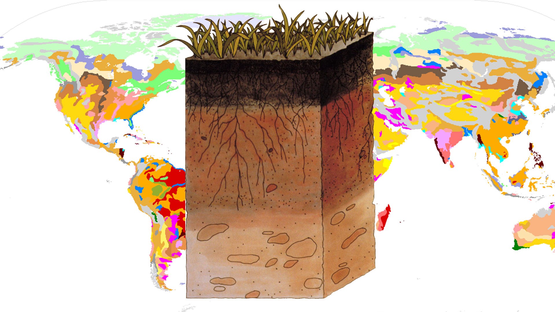 Рисунок почвы. Почвенный Покров земли. Почвенные горизонты. Почва в разрезе. Почва, почвоведение.