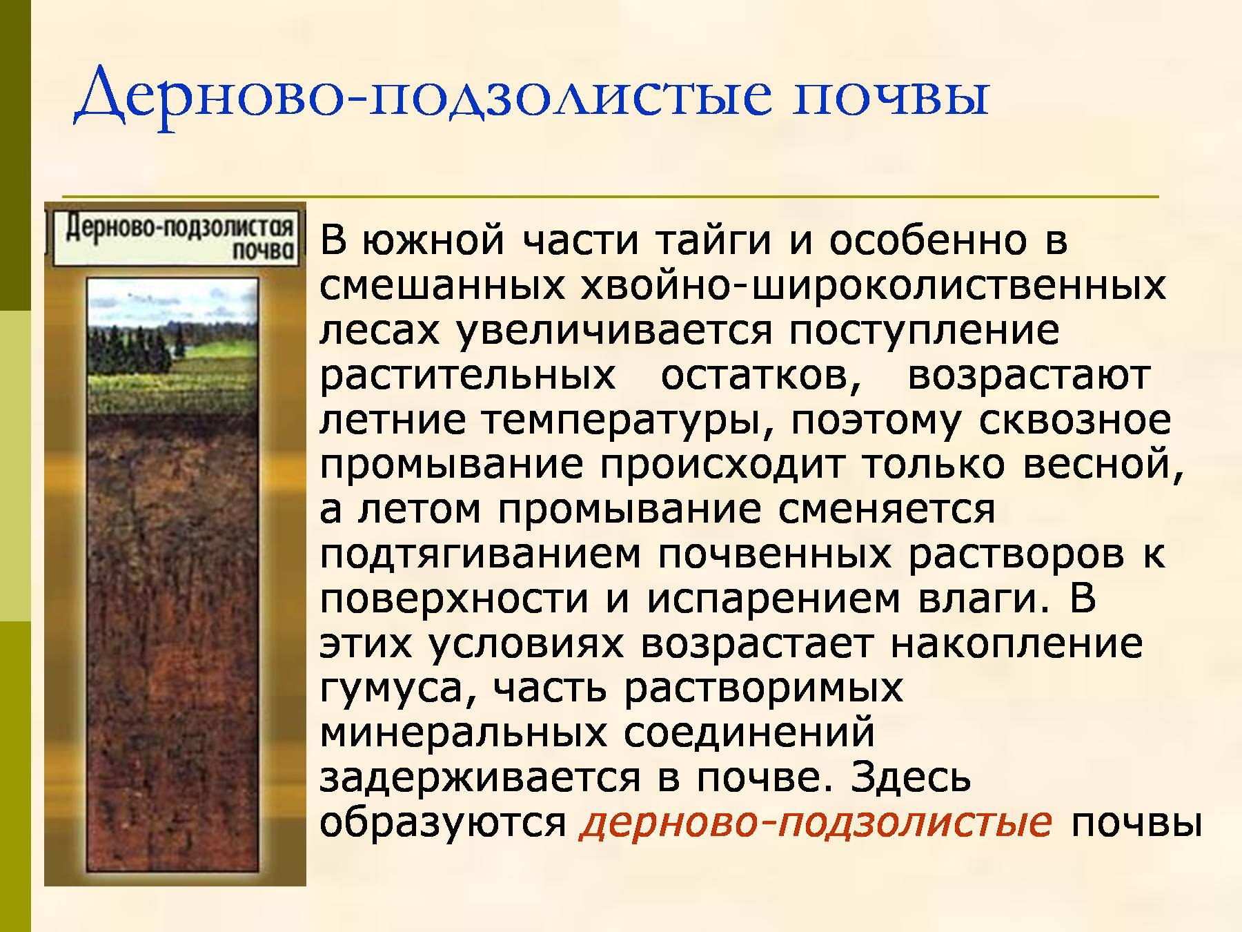 Какие почвы относятся к азональным типам подзолистые. Дерново-подзолистые почвы тайги. Дерново-подзолистые почвы зоны России. Дерново подзолистые гумус. Дерново-подзолистые почвы климат.
