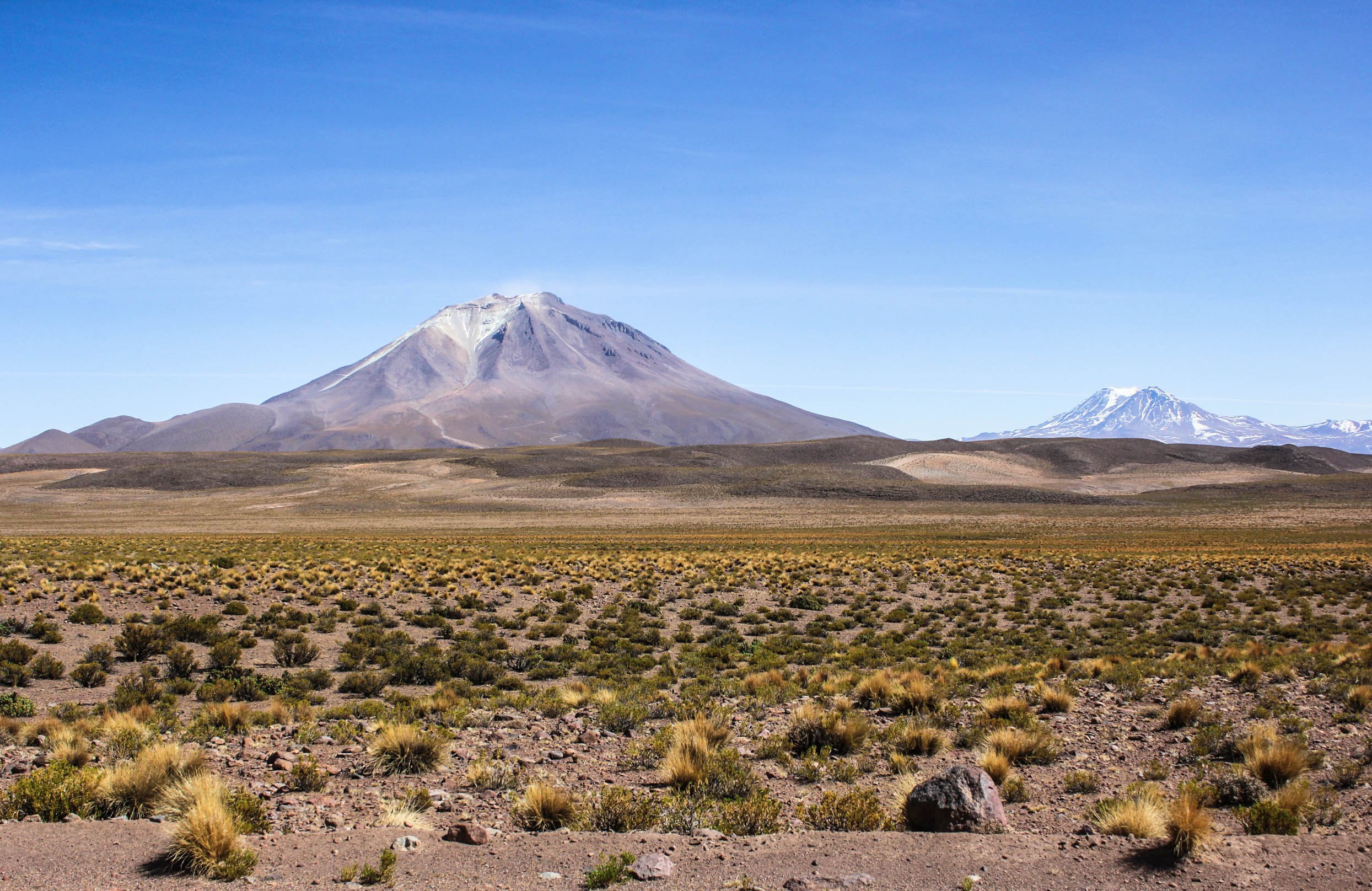 Альтиплано. Альтиплано Боливия. Альтиплано Перу. Охос-дель-Саладо вулкан. Вулкан Льюльяйльяко.